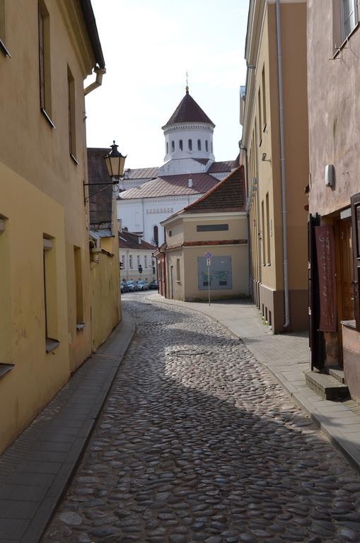 Sofijos Studio Old Town Apartman Vilnius Kültér fotó