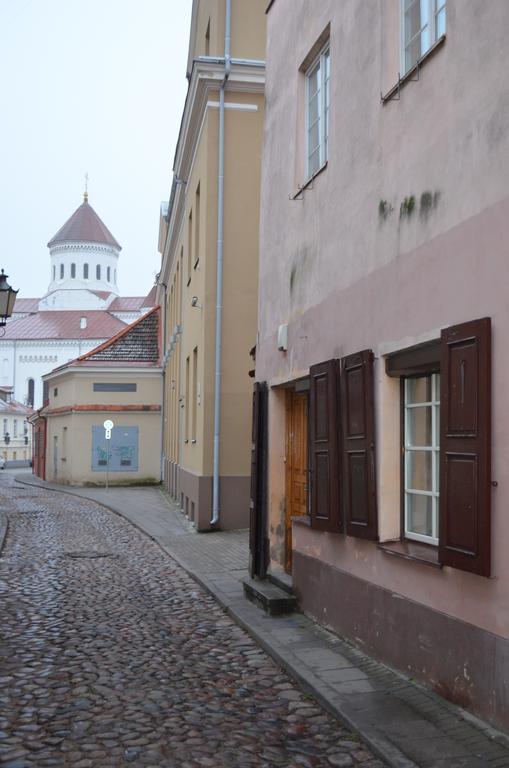 Sofijos Studio Old Town Apartman Vilnius Kültér fotó